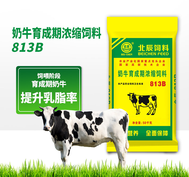 商洛北辰反芻飼料廠家