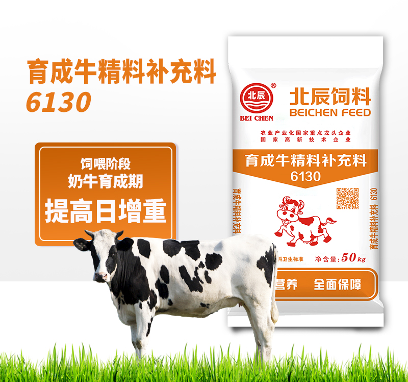 商洛北辰反芻飼料廠家