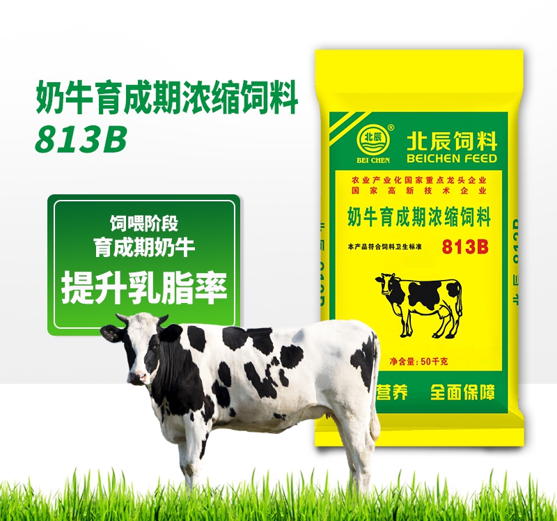 奶牛育成期濃縮飼料813B